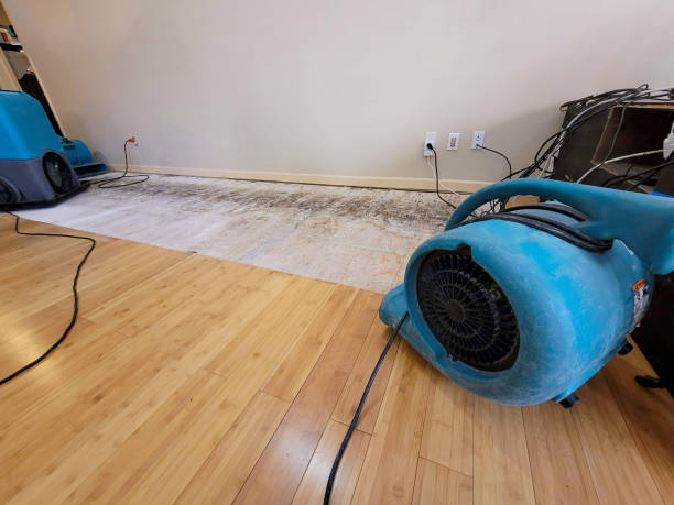 Professional Ceiling Water Damage Repair technician working in Leroy, TX
